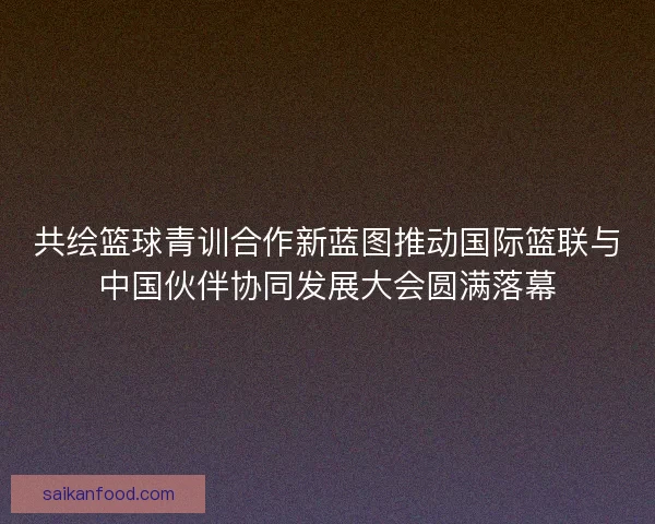 共绘篮球青训合作新蓝图推动国际篮联与中国伙伴协同发展大会圆满落幕