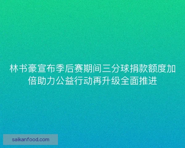 林书豪宣布季后赛期间三分球捐款额度加倍助力公益行动再升级全面推进
