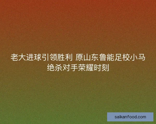 老大进球引领胜利 原山东鲁能足校小马绝杀对手荣耀时刻